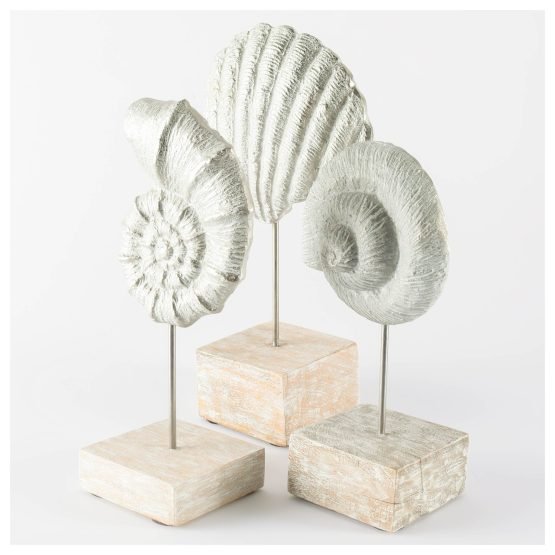 Cephalo 8L x 4W White Coastal Iron Sea Shell - Image 3