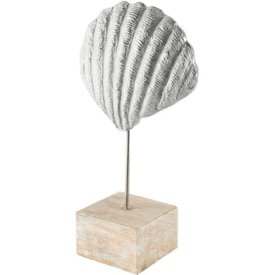 Cephalo 8L x 4W White Coastal Iron Sea Shell