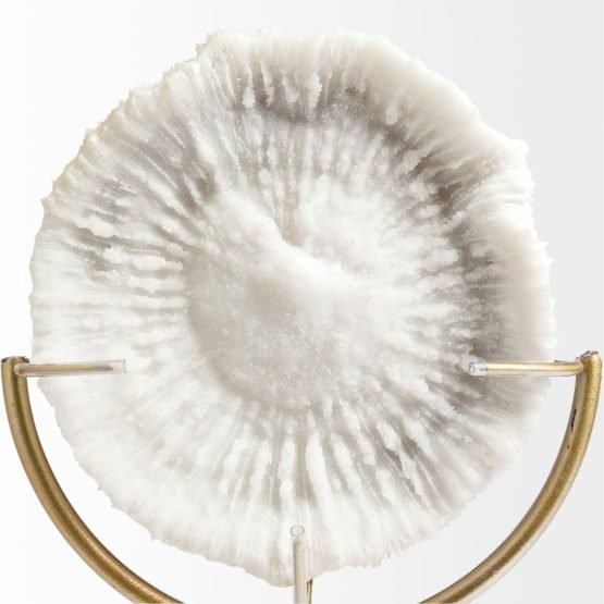 Sandy III (Large) 8L x 4W White Coastal Sand Dollar Object - Image 3