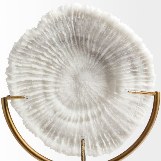 Sandy II (Medium) 6L x 3W White Coastal Sand Dollar Object - Image 3