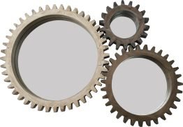 0030012_COGS-COL01_A.jpeg