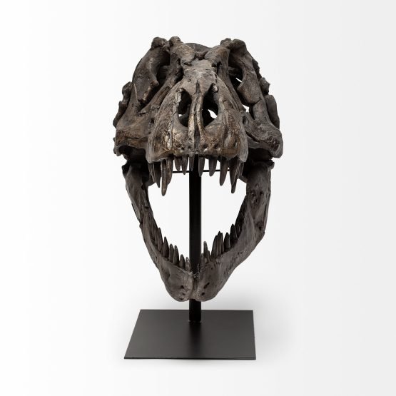 Lagrane 19L x 11W Brown Resin Tyrannosaurus T Rex Dinosaur Skull Replica - Image 2