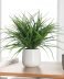Grass Modern Potted Faux Plant - Dark Green