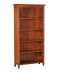 Lifestyle Bookcase - African Dusk