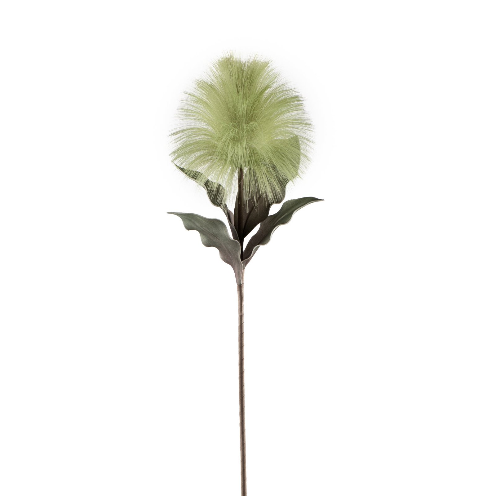 Desert Blooming Feather Pod 35" Stem - Green