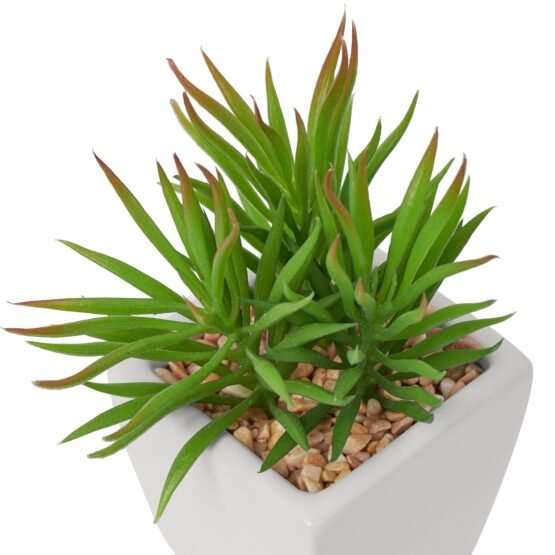 Tapered Mini Faux Succulent Potted Plant - Spike - Image 2