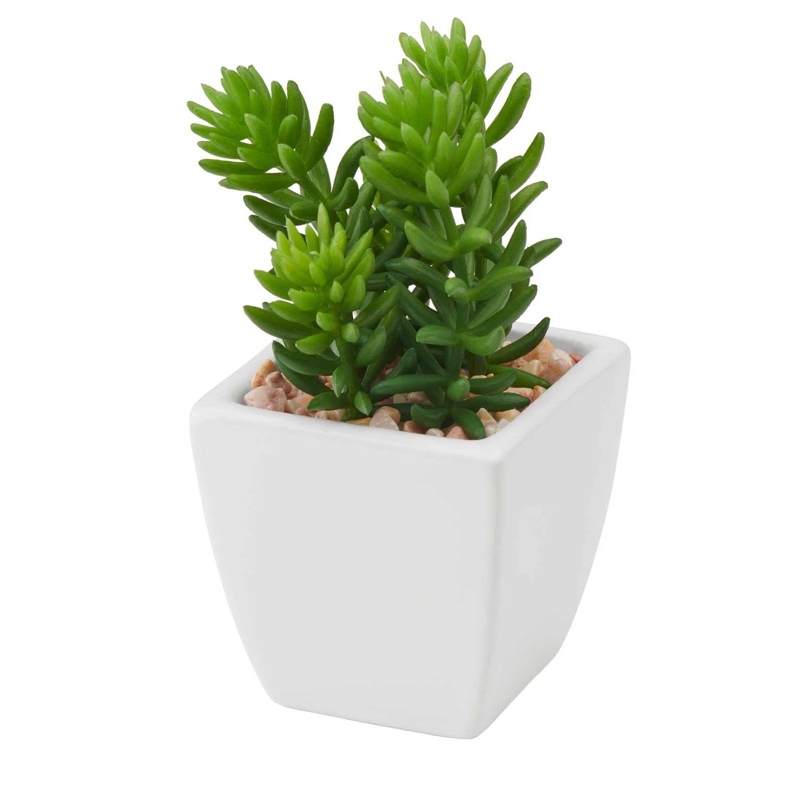 Tapered Mini Faux Succulent Potted Plant - Jellybean - Image 5