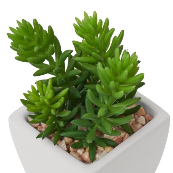 Tapered Mini Faux Succulent Potted Plant - Jellybean - Image 2