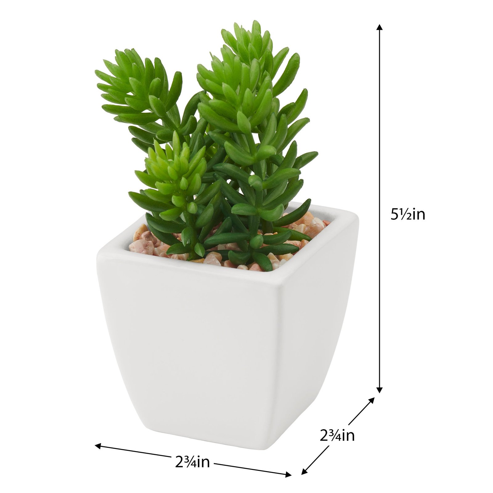 Tapered Mini Faux Succulent Potted Plant - Jellybean - Image 3