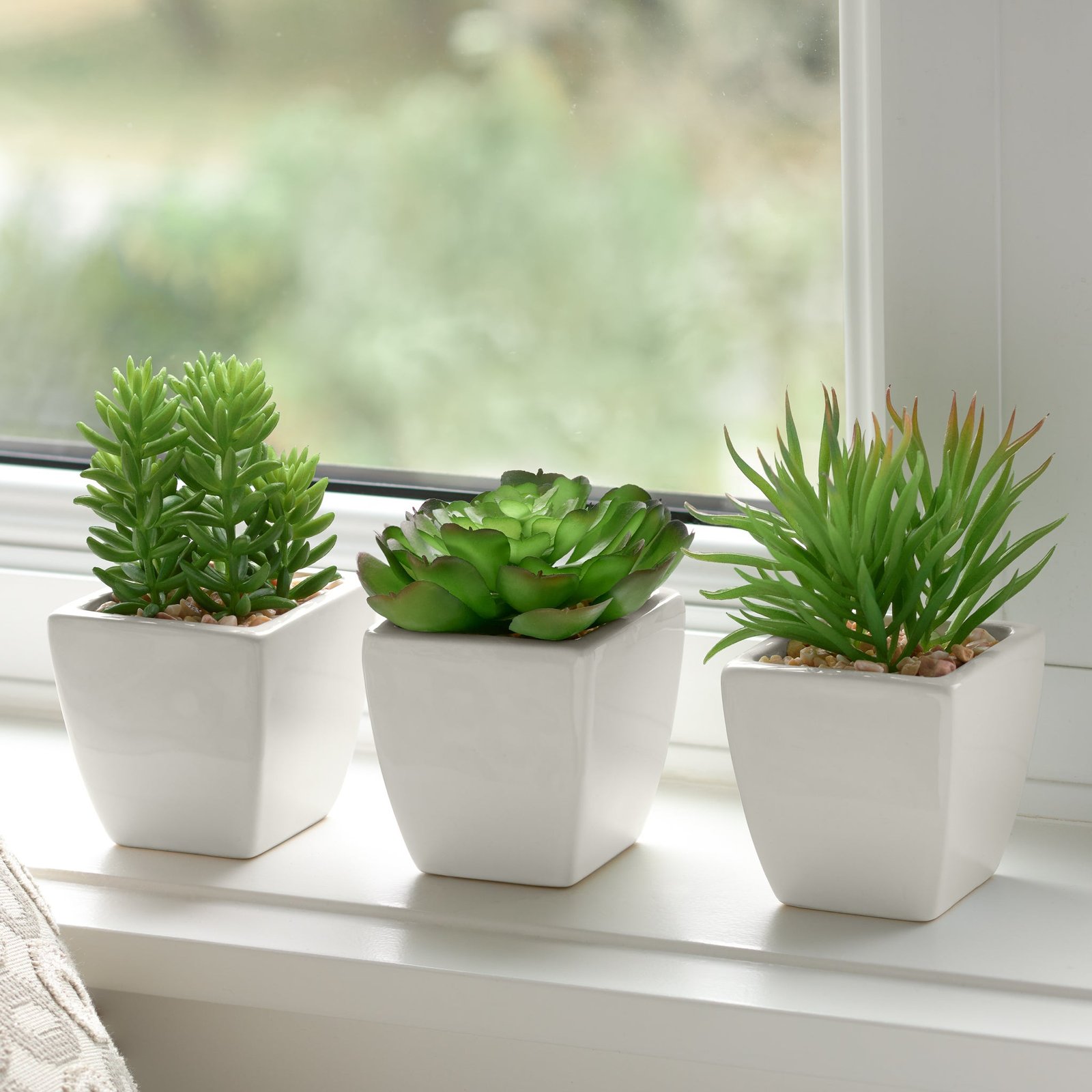 Tapered Mini Faux Succulent Potted Plant - Jellybean - Image 4