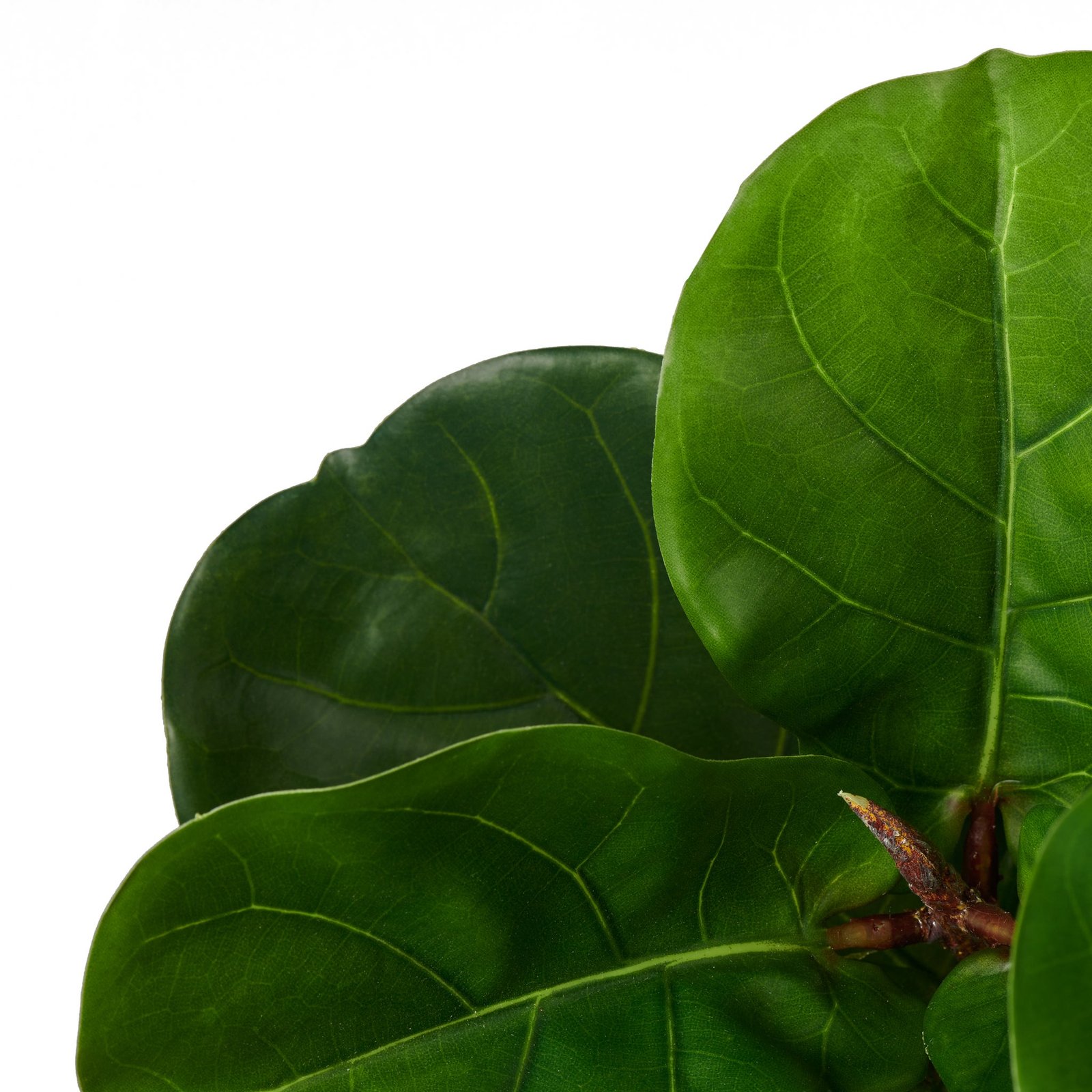 Fiddleleaf Tree 41 Inch Tall Potted Faux Plant - Image 3
