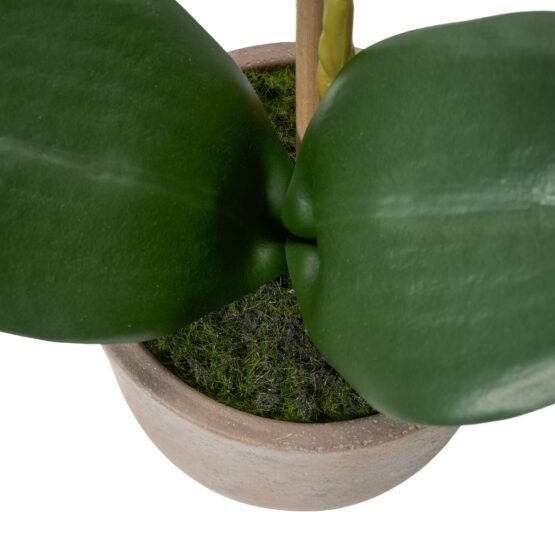 Verona 15.5 Inch Tall Urn Potted Real Touch Orchid - White - Image 2