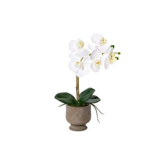 Verona 15.5 Inch Tall Urn Potted Real Touch Orchid - White