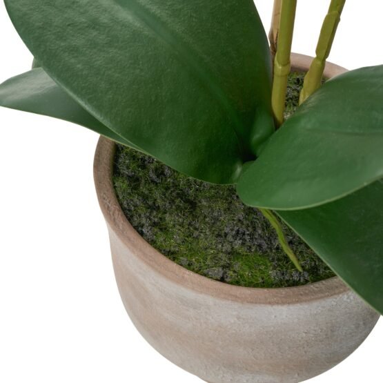 Verona 22 Inch Tall Urn Potted Real Touch Orchid - White - Image 2