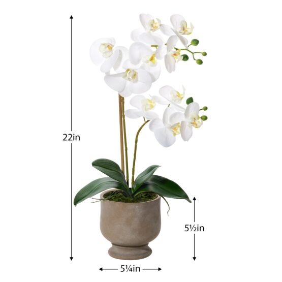 Verona 22 Inch Tall Urn Potted Real Touch Orchid - White - Image 3