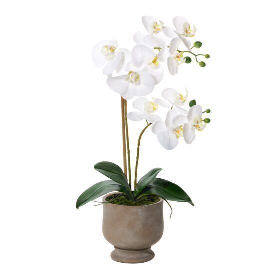 Verona 22 Inch Tall Urn Potted Real Touch Orchid - White