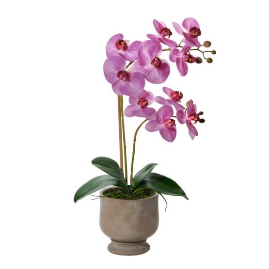 Verona 22 Inch Tall Urn Potted Real Touch Orchid - Pink