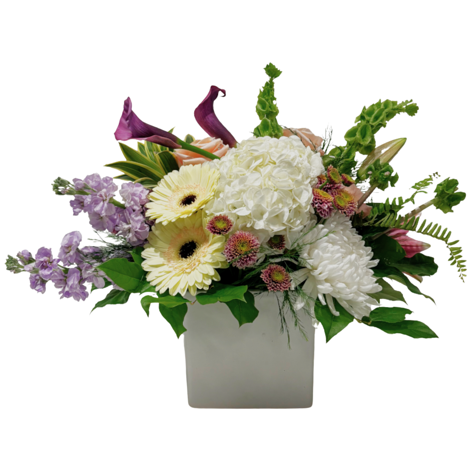 FLORAL SIZE FOR WEBSITE 1.5x (14) FLORAL SIZE FOR WEBSITE 1.5x (14)