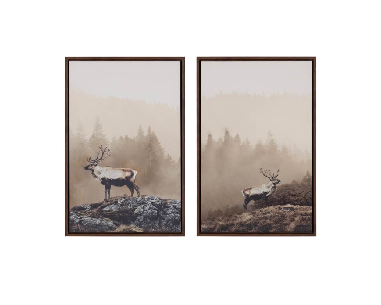 Into The Wild I - 20" X 30" - Brown Floater Frame Brown - Image 10