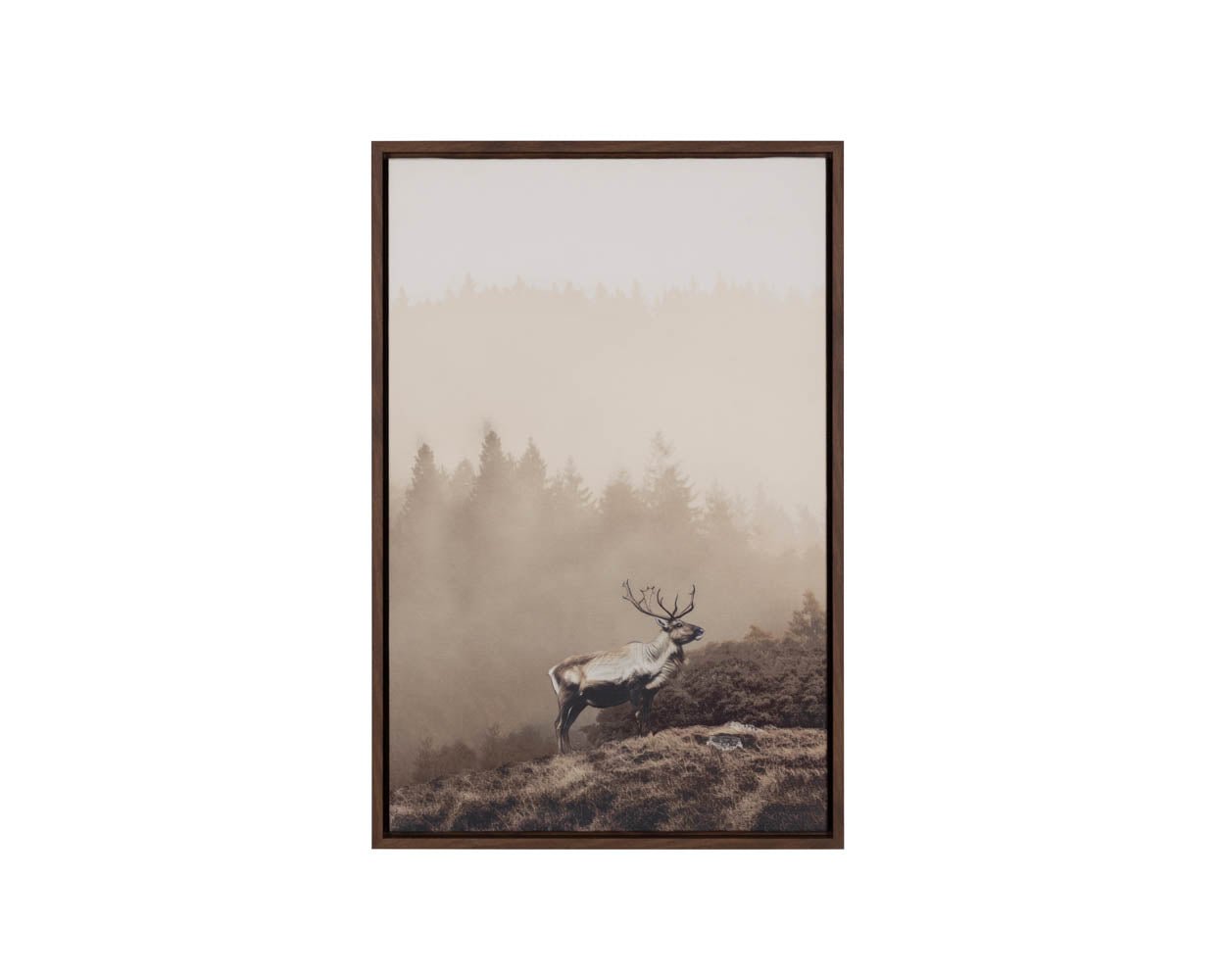 Into The Wild II - 20" X 30" - Brown Floater Frame Brown - Image 9