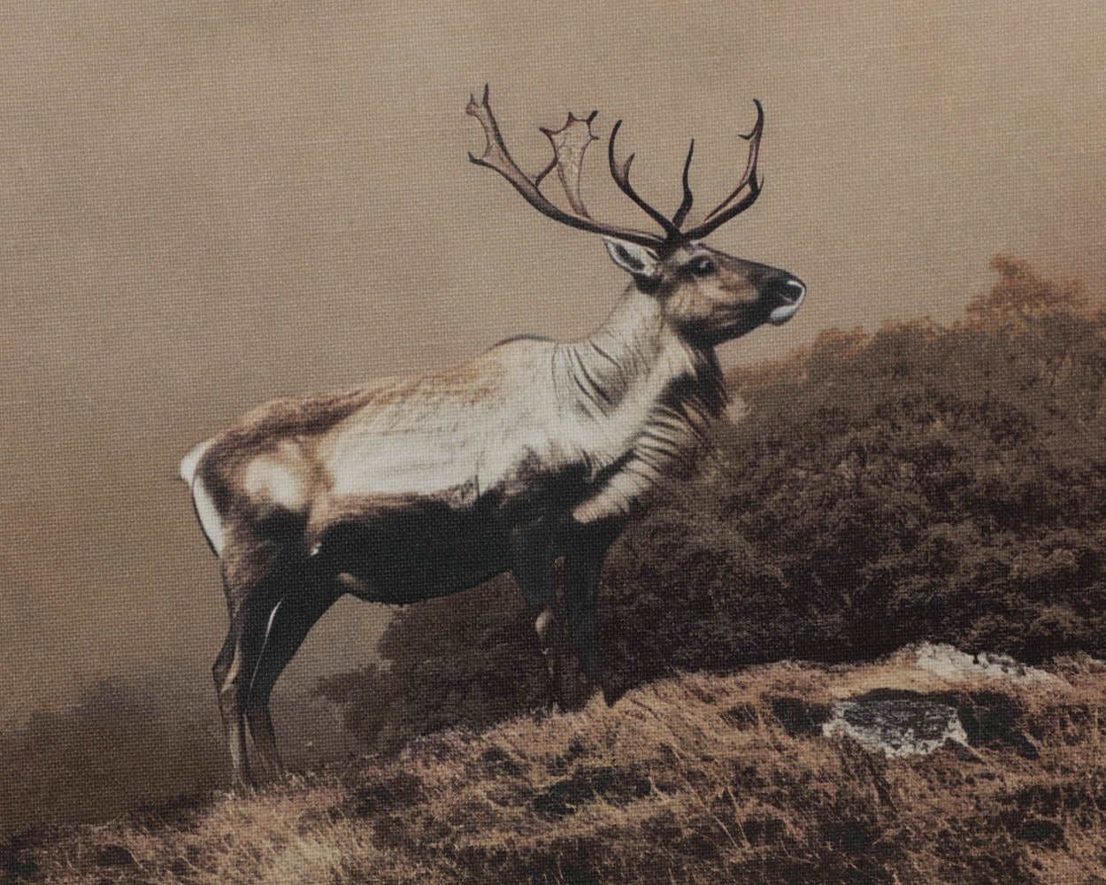 Into The Wild II - 20" X 30" - Brown Floater Frame Brown - Image 14