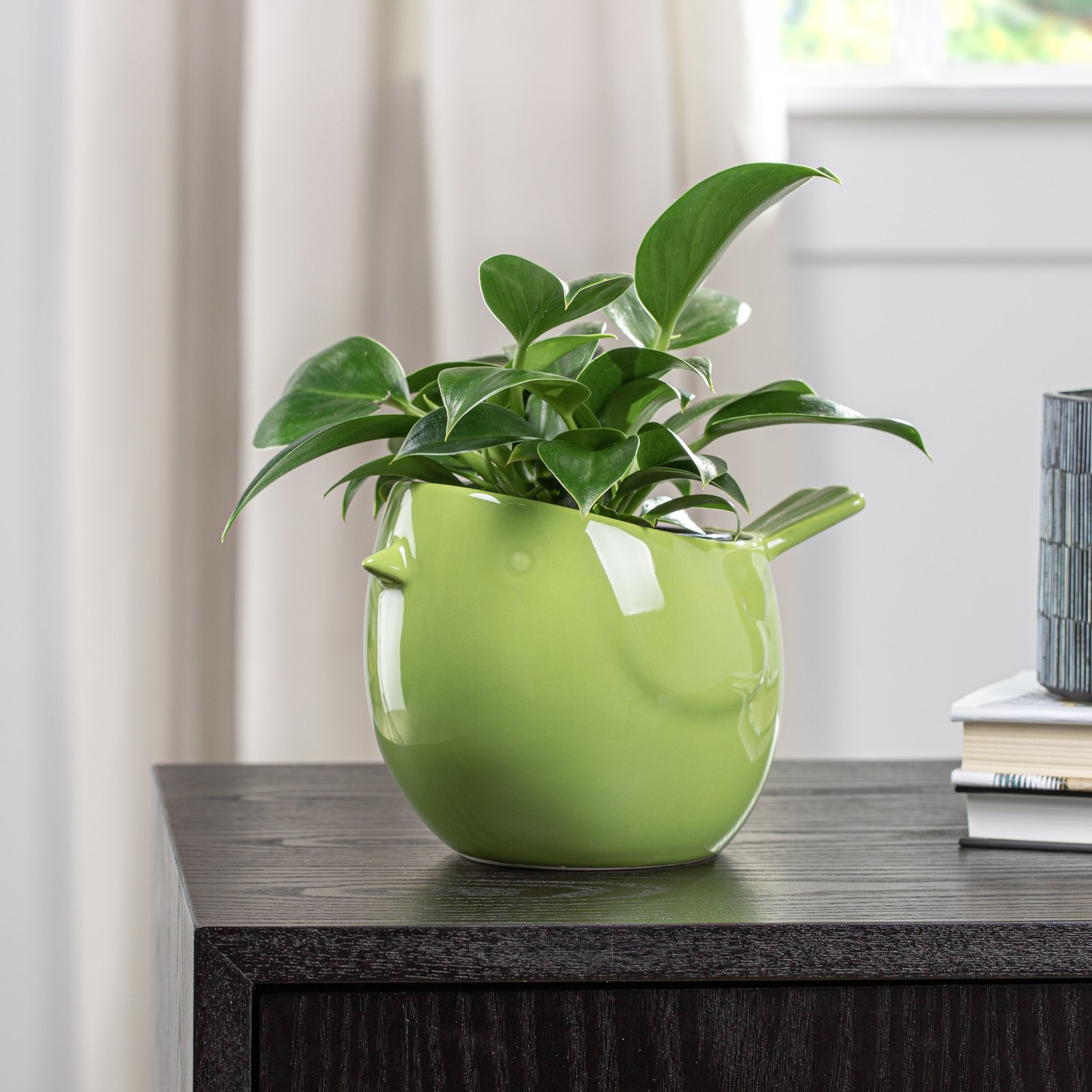 Finch Bird Ceramic Drop Pot Planter - Green