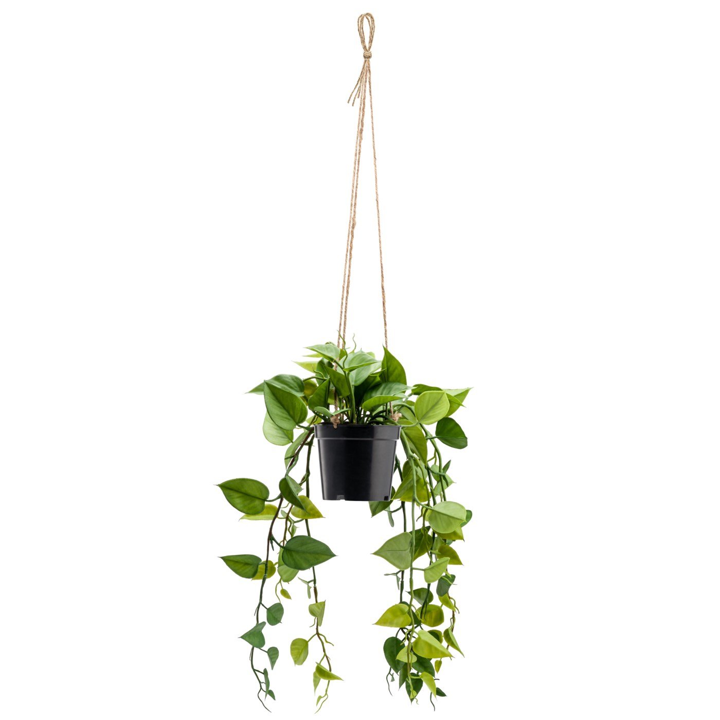 Ivy Hanging Faux Potted Plant With String Hanger - Image 2
