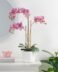 Ava Faux Potted 24 Inch Tall Triple Stem Orchid - Pink