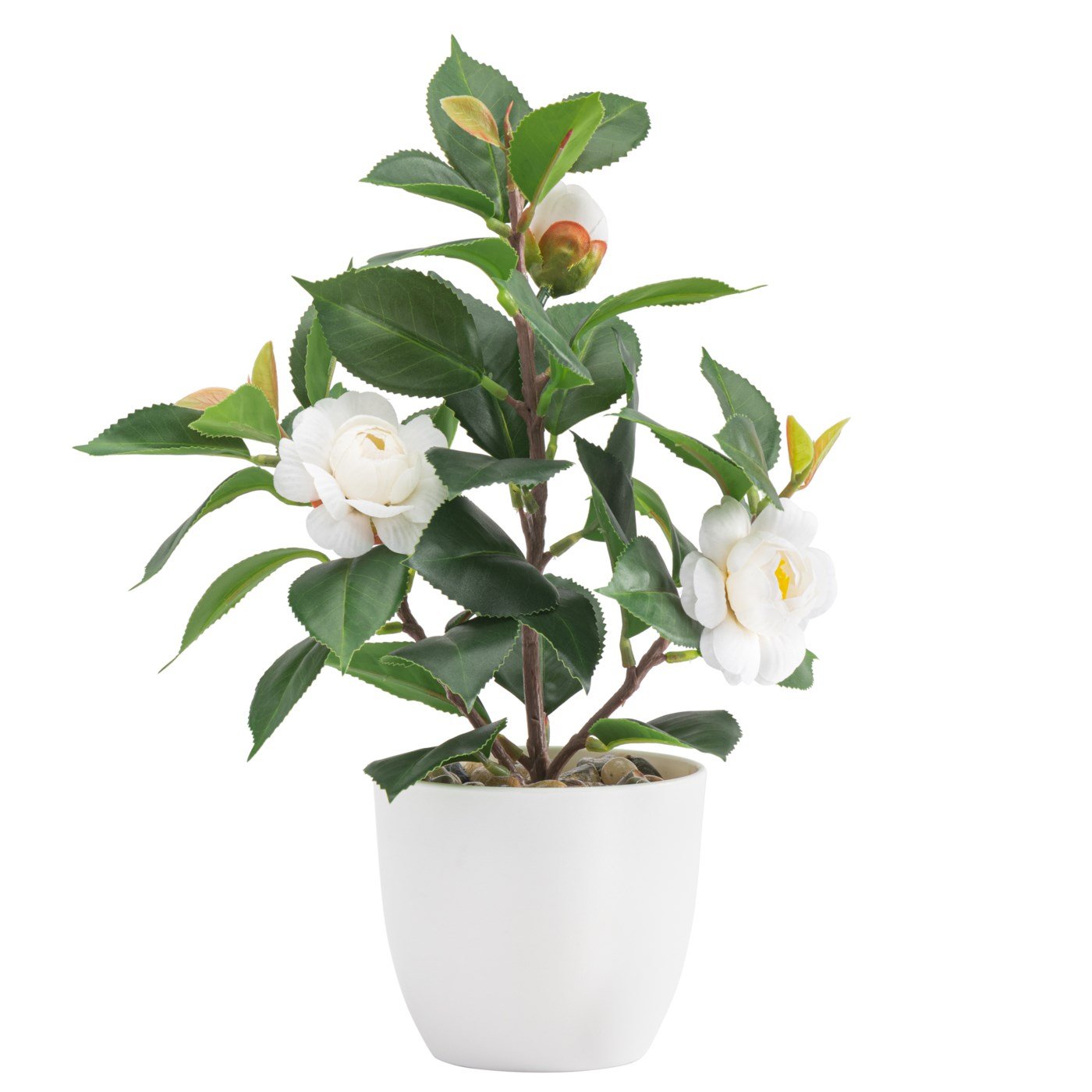 Rose Potted 11h" Faux Flowering Plant - White - Image 2