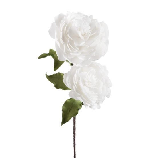 Desert Peony 2 Bloom Stem - White