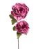 Desert Peony 2 Bloom Stem - Pink