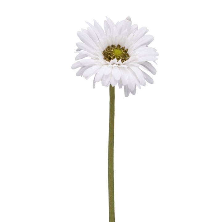 Gerbera Daisy Real Touch 24" Stem - White