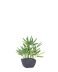 Bamboo 10 Inch Tall Faux Potted Plant