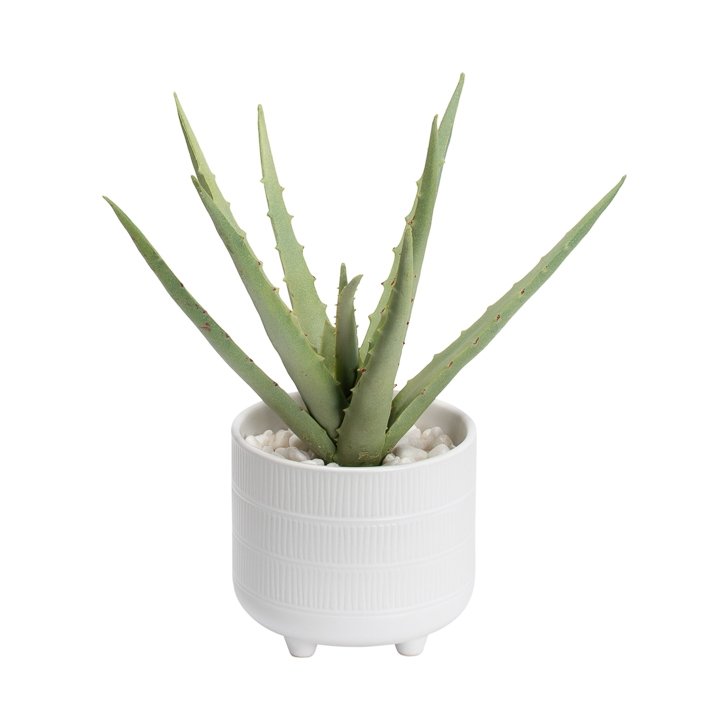Riviera Ceramic Potted Faux 11 Inch Tall Aloe Succulent Plant
