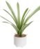 Riviera Ceramic Potted Faux 17 Inch Tall Cymbidium Leaf Plant