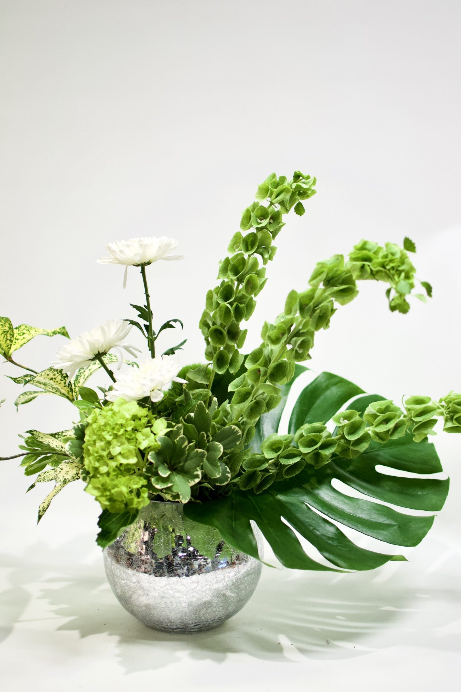 Perfect Harmony - Image 2