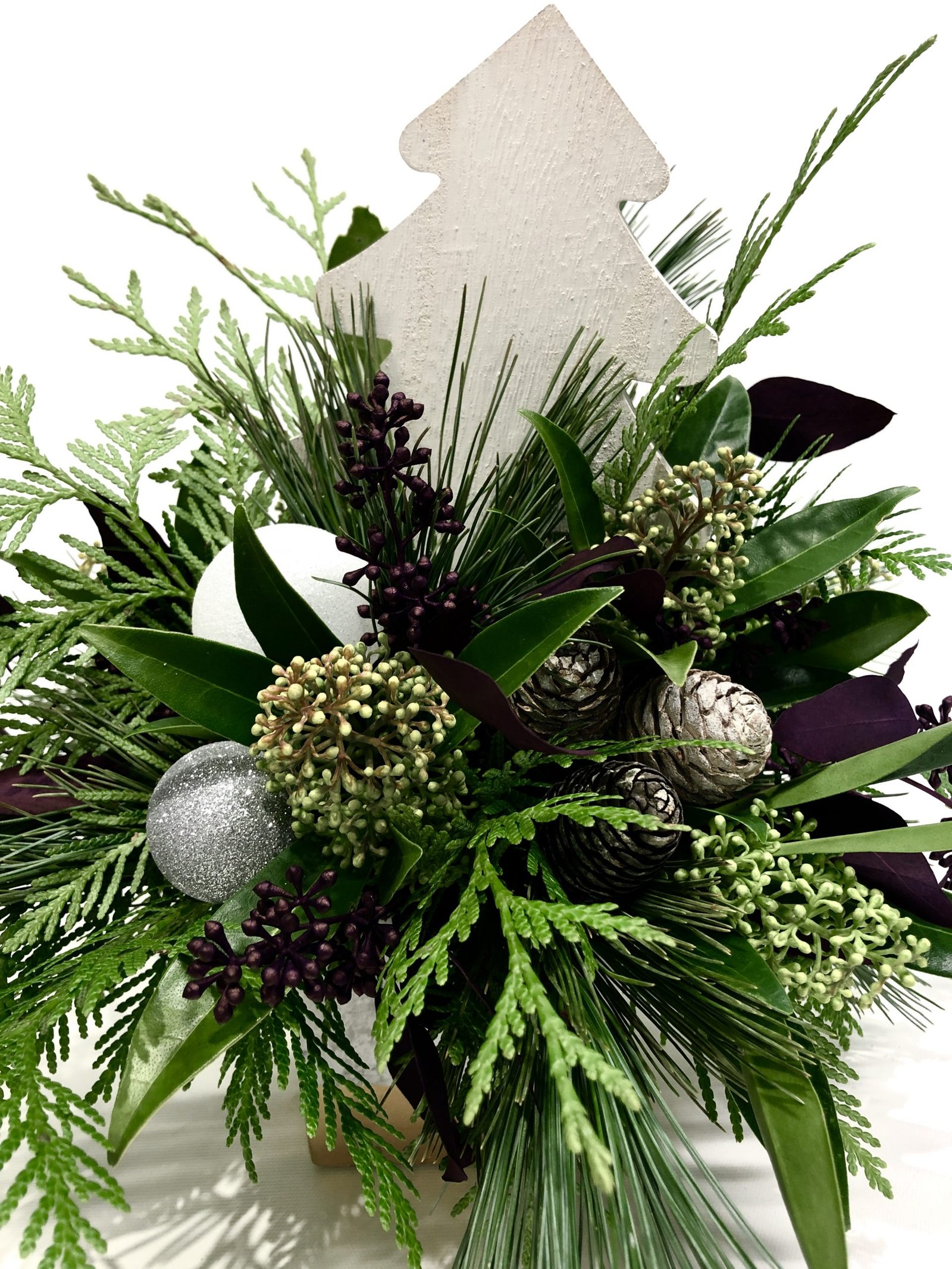 Winter Wonderland - Image 2