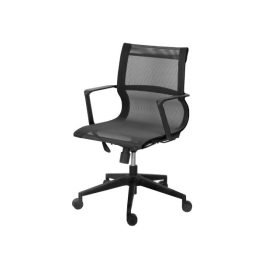 chair_photo_templabkte2.jpg