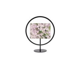 cpxuvnyhv37otebghe45_800x600